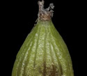 [photo of perigynia, scales and achene]