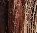 [photo of fibrous base]