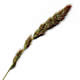 [photo of Marsh Muhly]