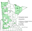 Minnesota county distribution map