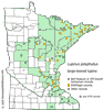 Minnesota county distribution map