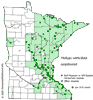 Minnesota county distribution map