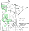 Minnesota county distribution map