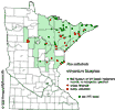 Minnesota county distribution map