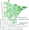 Minnesota county distribution map