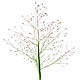 [photo of Scratchgrass]