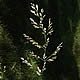 [photo of Wood Bluegrass]