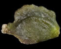 [photo of achenes]