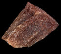 [photo of seeds]